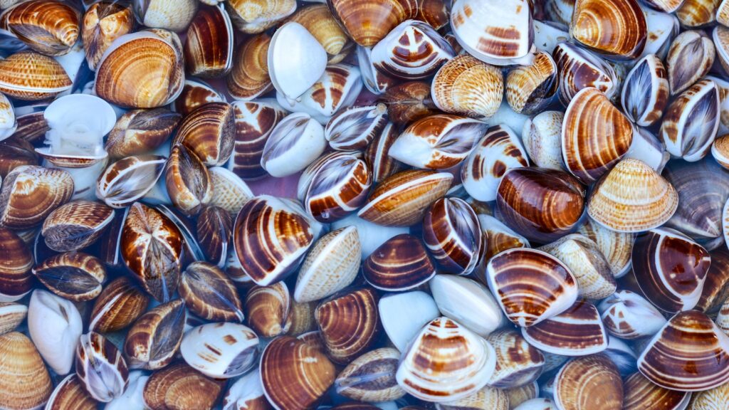 Đặc sản Mũi Né