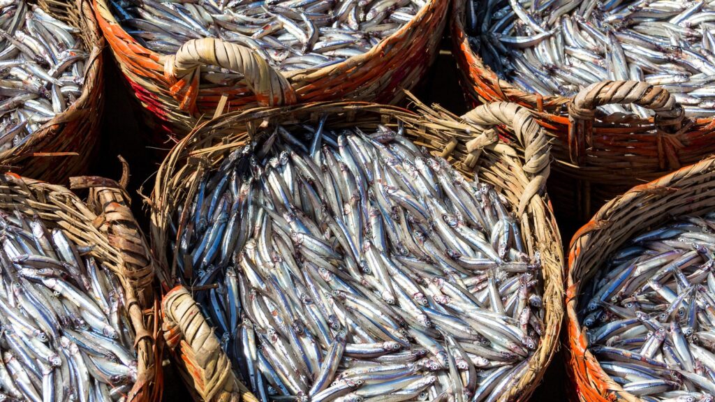 Đặc sản Mũi Né